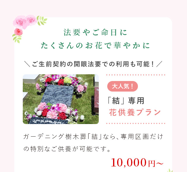 花供養プラン