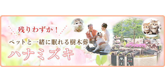 ペットと一緒に眠れるお墓