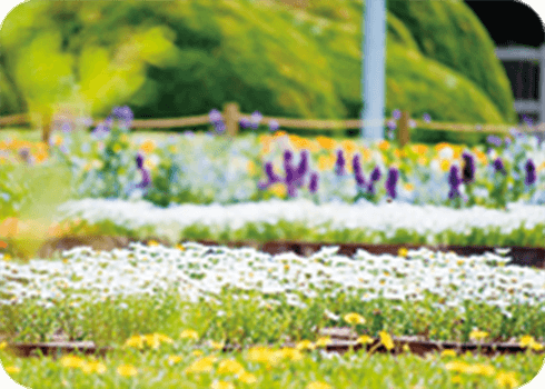 ライフガーデンのイメージ2