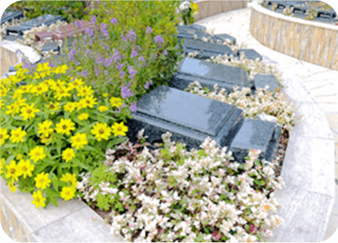 ライフガーデンのイメージ3