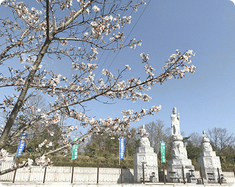 なごみ霊廟 合同供養法要