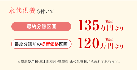 ハナミズキ 価格