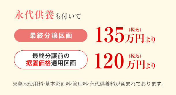 ハナミズキ 価格