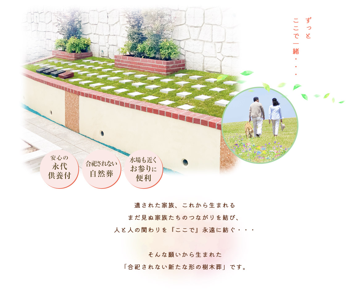 結ペット1