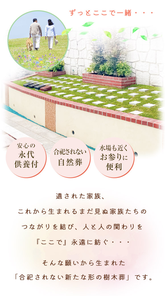 結ペット1