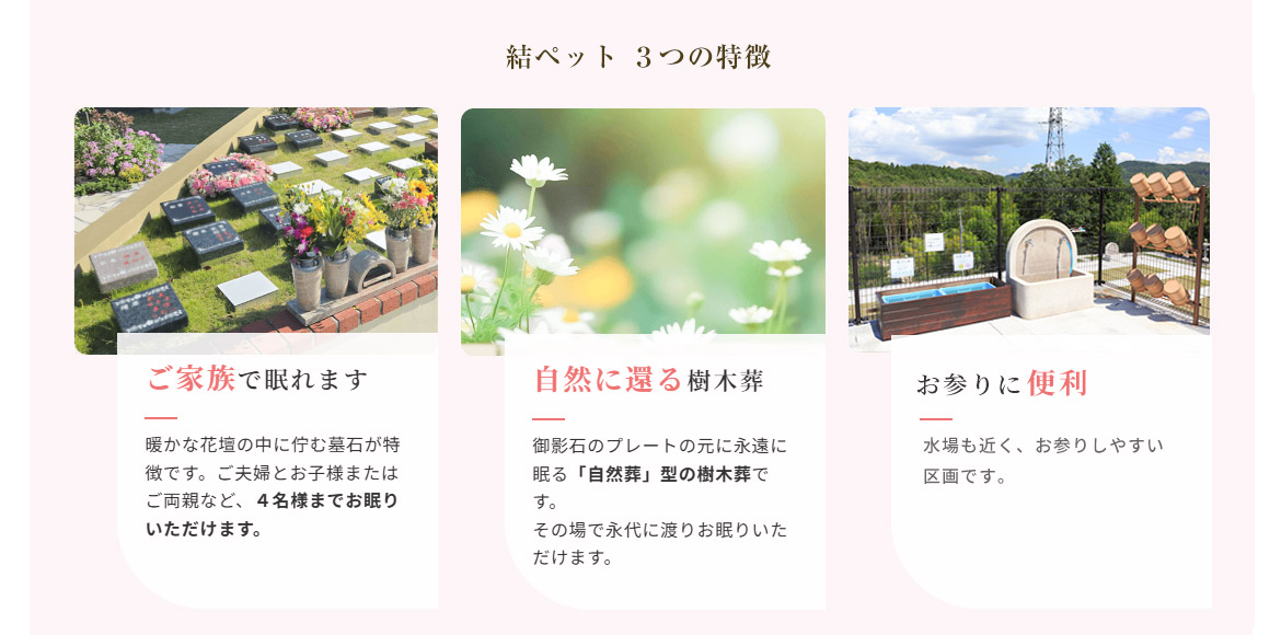 結ペット2