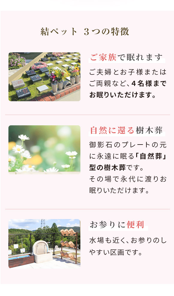 結ペット2